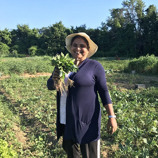 Harimaya's Journey to Sustainable Farming in New Hampshire