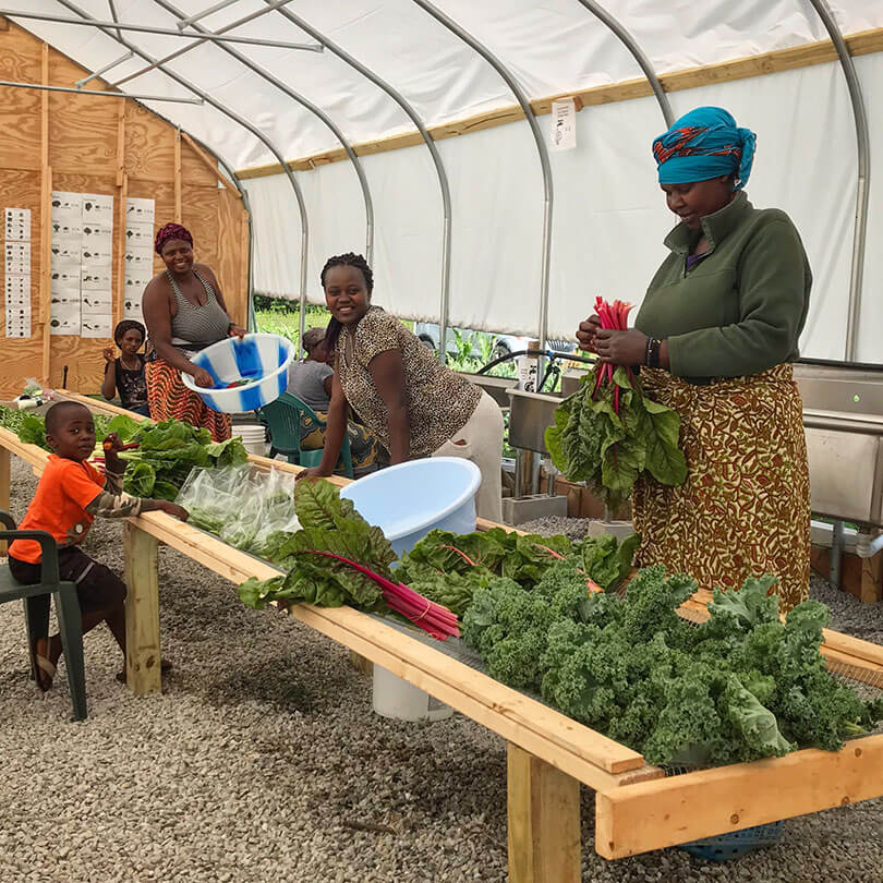 Farmers handling produce