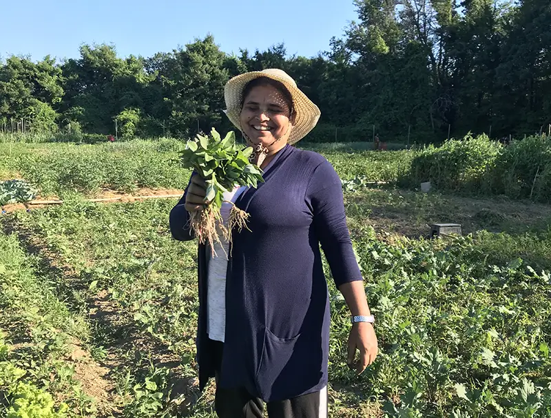 immigrant woman on a farm holding fresh vegetables with roots
