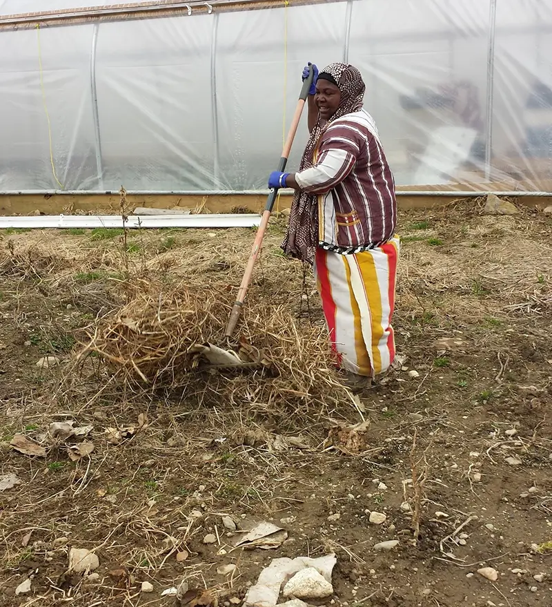 refugee woman tilling land on a farm