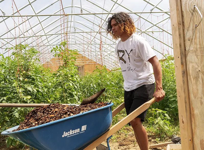 a young man with long hair pushing a wheelbarrow inside a greenhouse